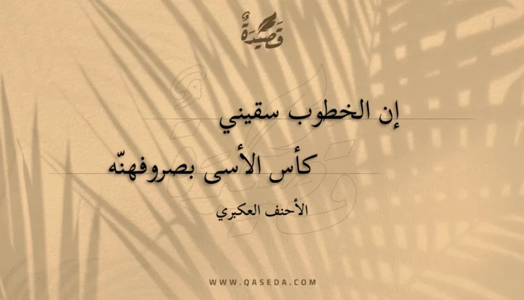 قصيدة إن الخطوب سقيني