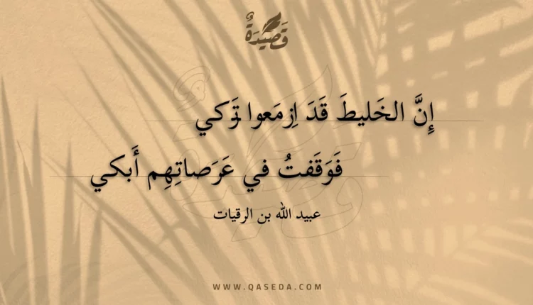 قصيدة إن الخليط قد ازمعوا تركي