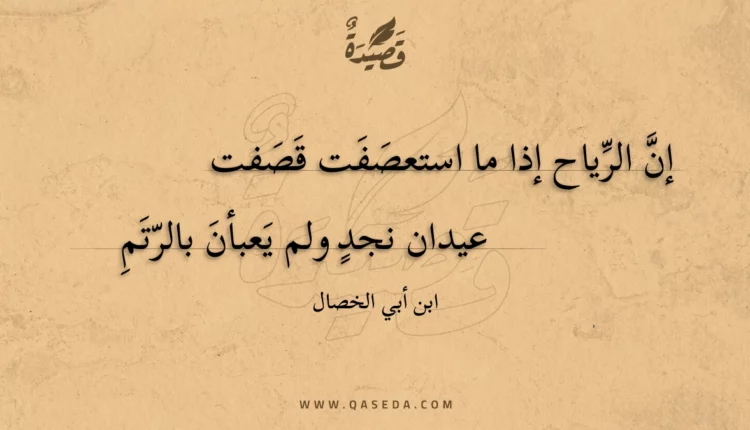 قصيدة إن الرياح إذا ما استعصفت قصفت
