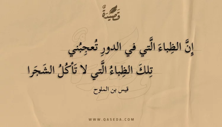 قصيدة إن الظباء التي في الدور تعجبني