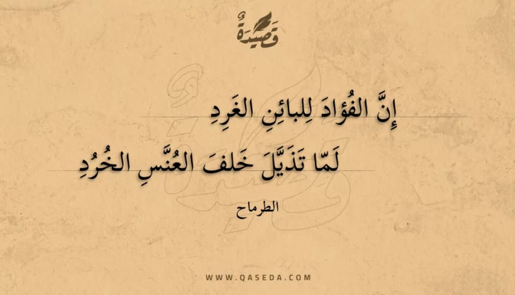 قصيدة إن الفؤاد للبائن الغرد