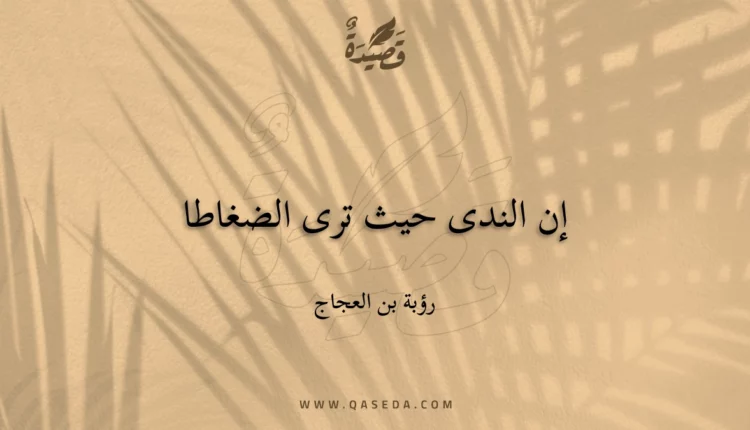 قصيدة إن الندى حيث ترى الضغاطا
