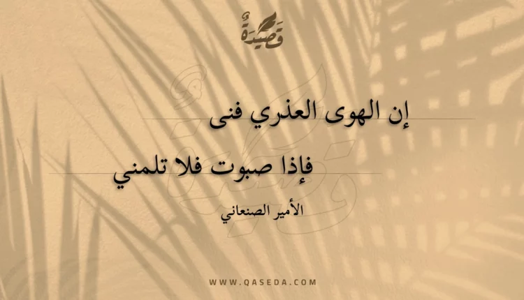 قصيدة إن الهوى العذري فنى