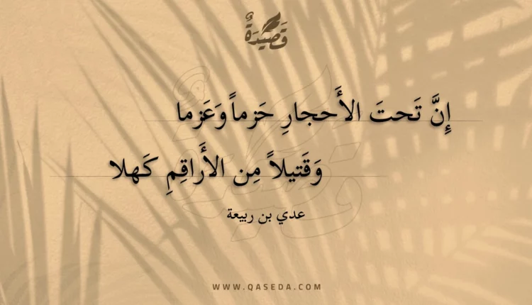 قصيدة إن تحت الأحجار حزماً وعزما