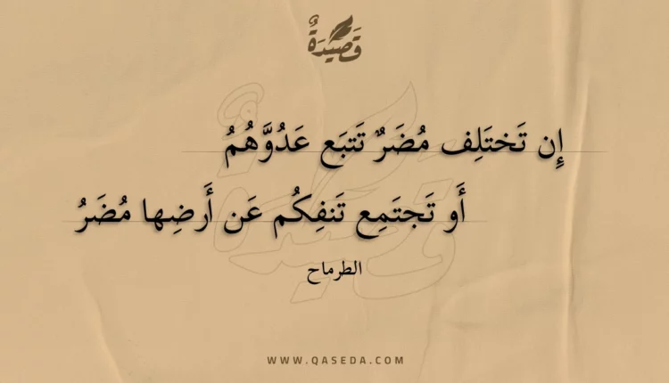 قصيدة إن تختلف مضر تتبع عدوهم