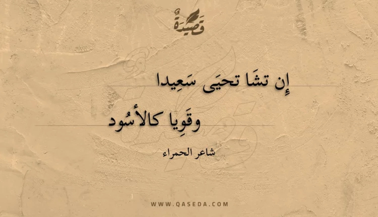 قصيدة إن تشا تحيى سعيدا