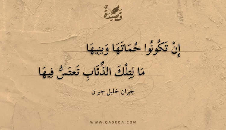 قصيدة إن تكونوا حماتها وبنيها