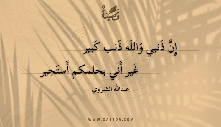 قصيدة إن ذنبي والله ذنب كبير
