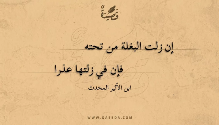 قصيدة إن زلت البغلة من تحته