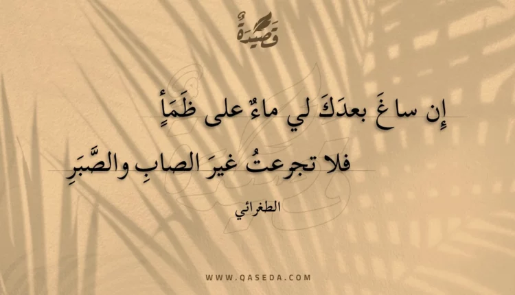 قصيدة إن ساغ بعدك لي ماء على ظمأ