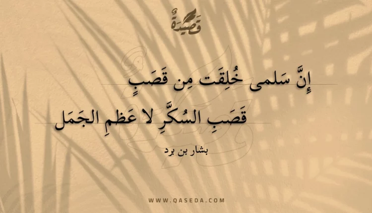 قصيدة إن سلمى خلقت من قصب
