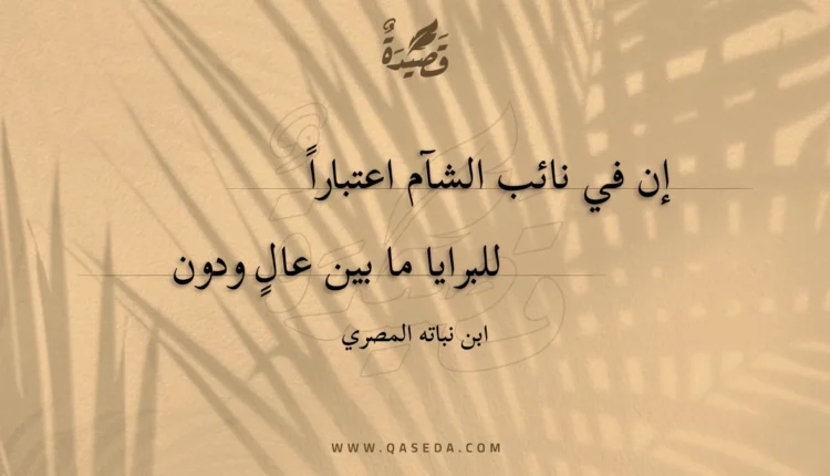 قصيدة إن في نائب الشام اعتبارا