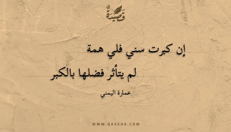 قصيدة إن كبرت سني فلي همة