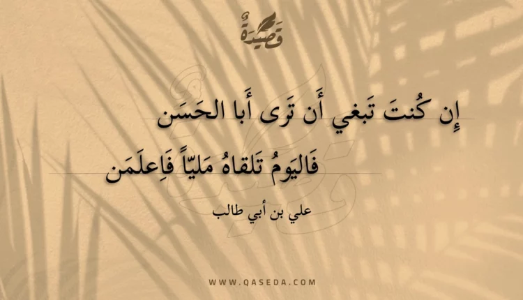 قصيدة إن كنت تبغي أن ترى أبا الحسن