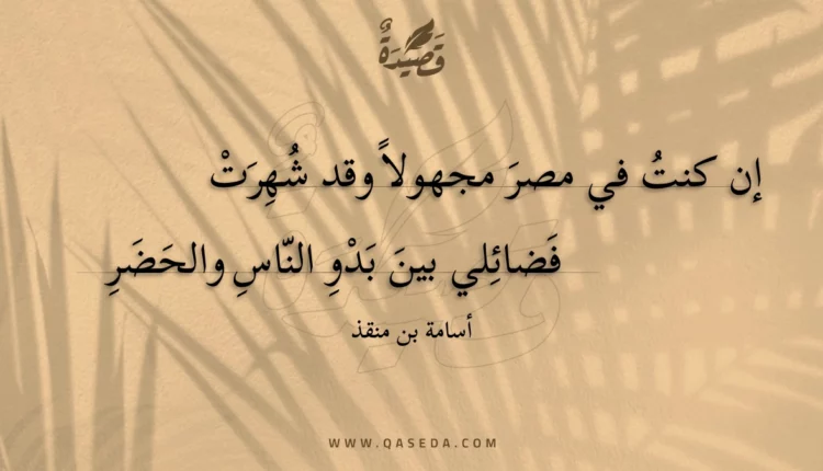 قصيدة إن كنت في مصر مجهولا وقد شهرت