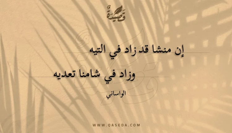 قصيدة إن منشا قد زاد في التيه