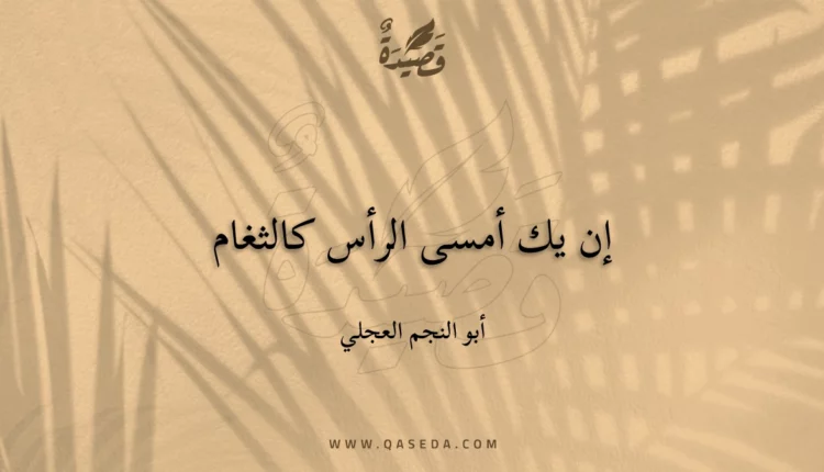قصيدة إن يك أمسى الرأس كالثغام