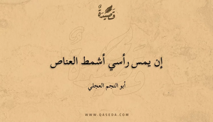 قصيدة إن يمس رأسي أشمط العناص