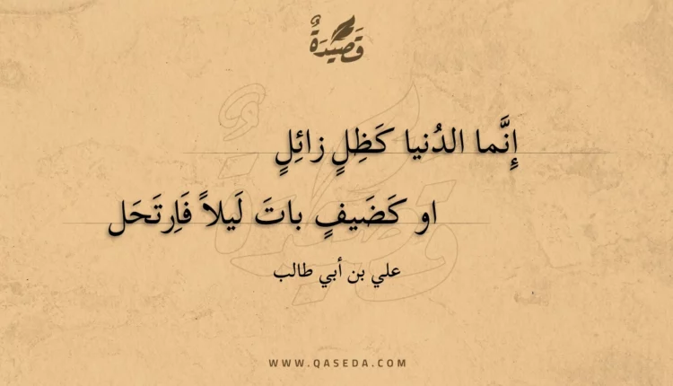 قصيدة إنما الدنيا كظل زائل
