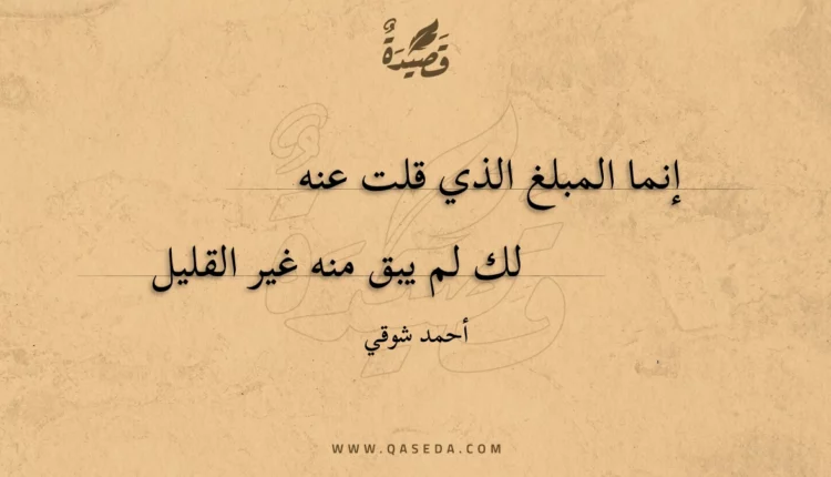 قصيدة إنما المبلغ الذي قلت عنه