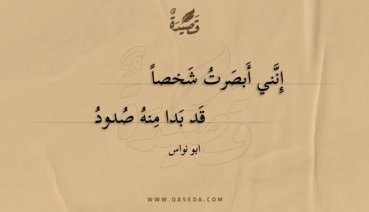 قصيدة إنني أبصرت شخصا
