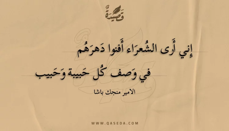 قصيدة إني أرى الشعراء أفنوا دهرهم