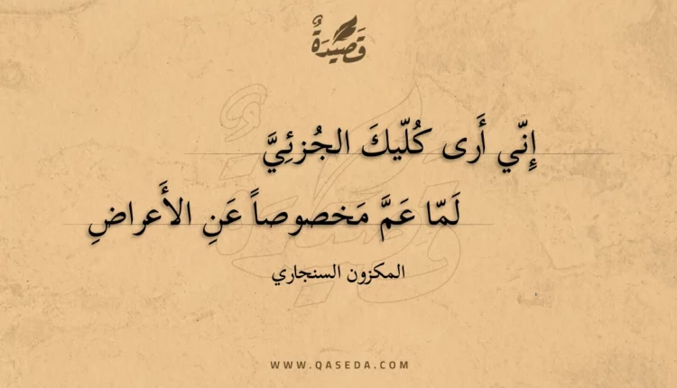 قصيدة إني أرى كليك الجزئي