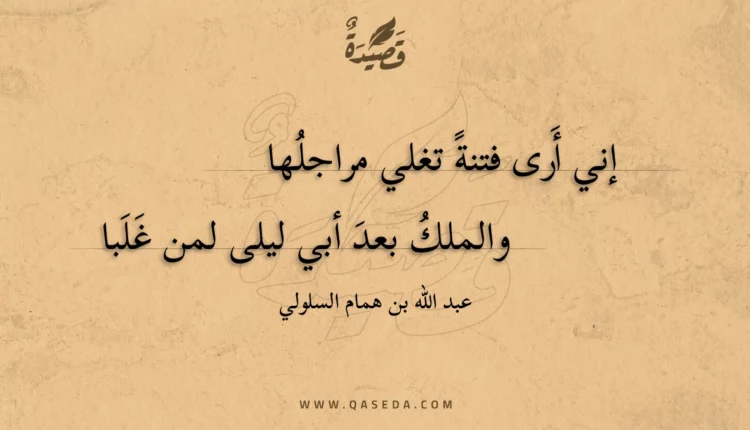 قصيدة إني أَرى فتنة تغلي مراجلها