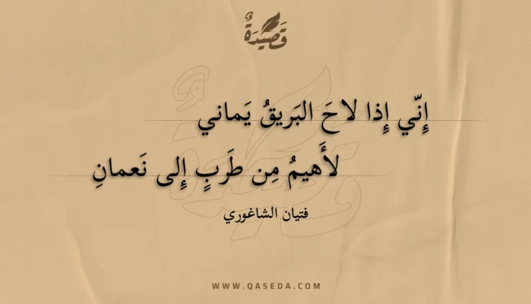 قصيدة إني إذا لاح البريق يماني
