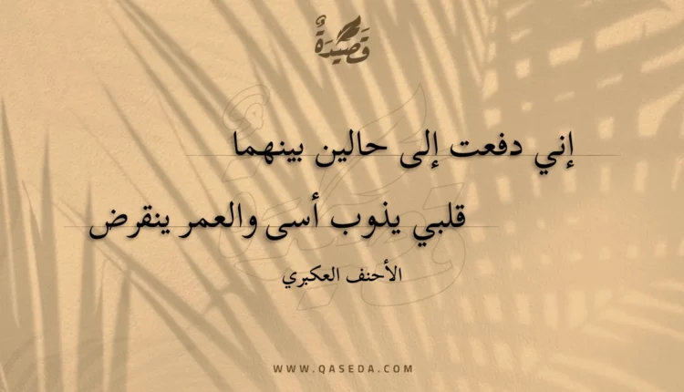 قصيدة إني دفعت إلى حالين بينهما