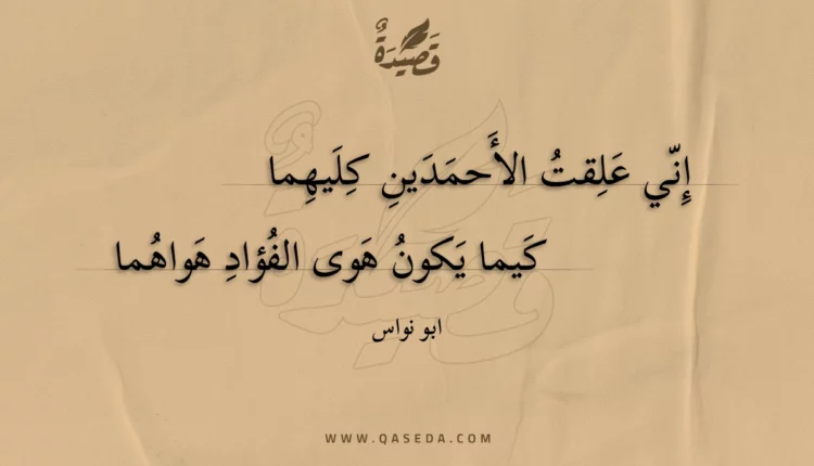 قصيدة إني علقت الأحمدين كليهما