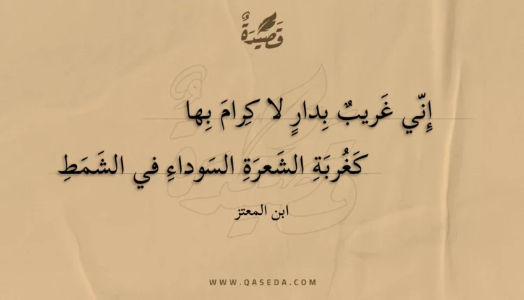 قصيدة إني غريب بدار لا كرام بها