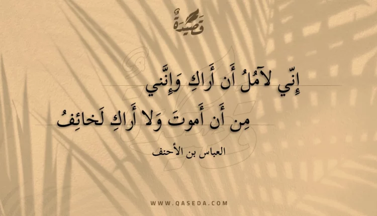 قصيدة إني لآمل أن أراك وإنني