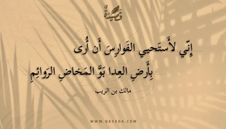 قصيدة إني لأستحيي الفوارس أن أرى