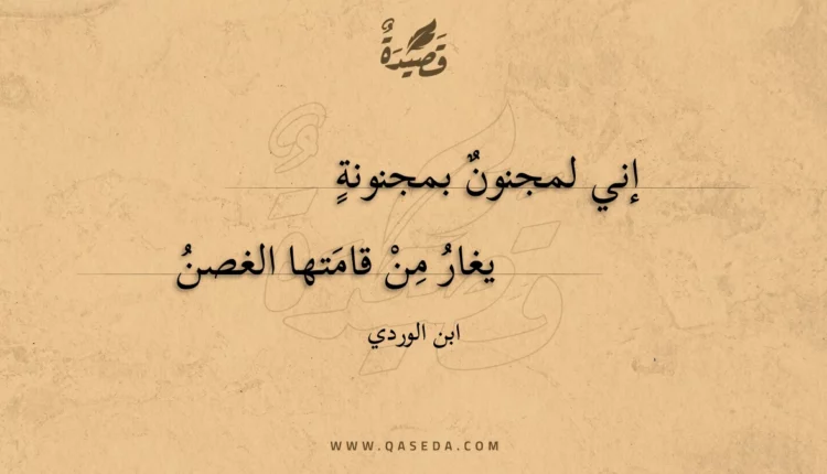 قصيدة إني لمجنون بمجنونة