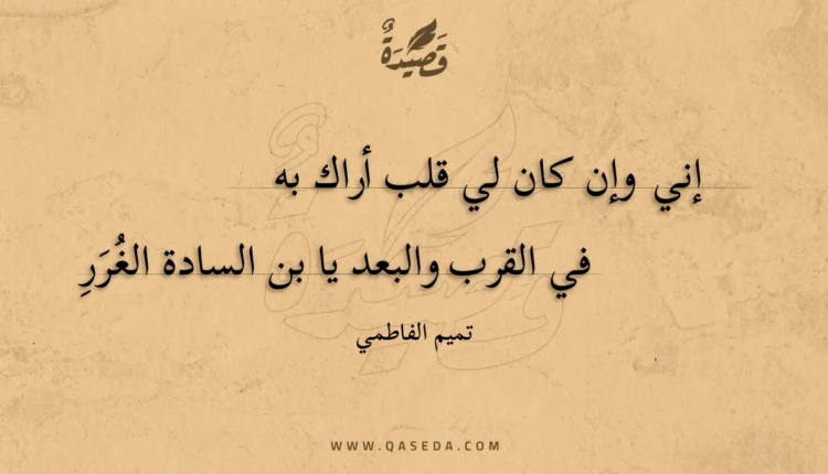 قصيدة إني وإن كان لي قلب أراك به