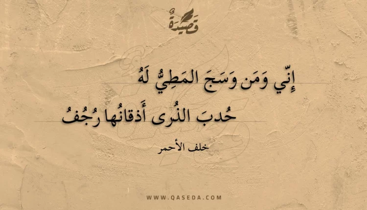 قصيدة إني ومن وسج المطي له
