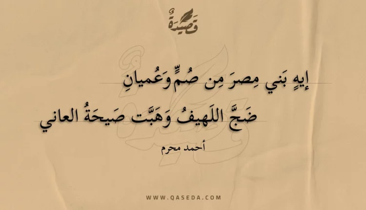 قصيدة إيه بني مصر من صم وعميان