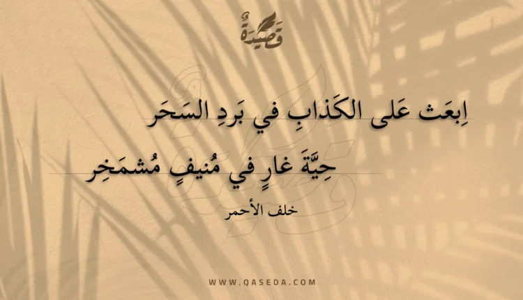 قصيدة ابعث على الكذاب في برد السحر