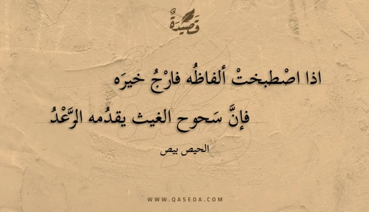 قصيدة اذا اصطبخت ألفاظه فارج خيره