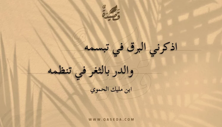 قصيدة اذكرني البرق في تبسمه