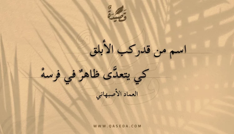 قصيدة اسم من قد ركب الأبلق