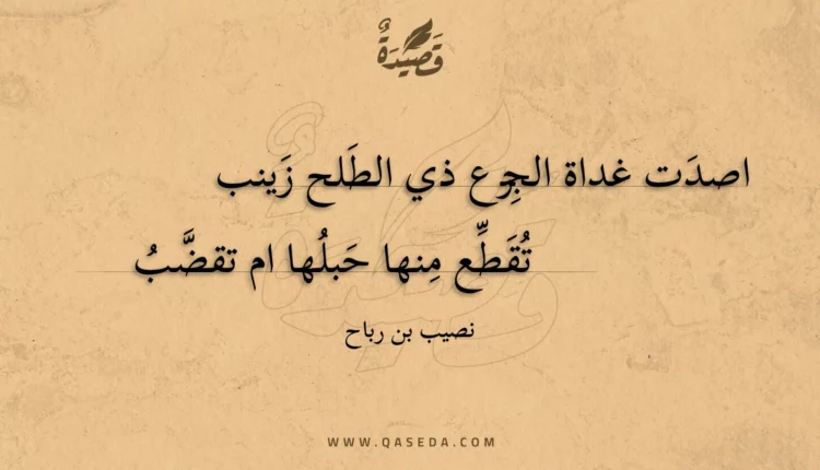 قصيدة اصدت غداة الجزع ذي الطلح زينب