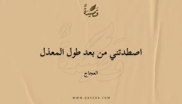 قصيدة اصطدتني من بعد طول المعذل