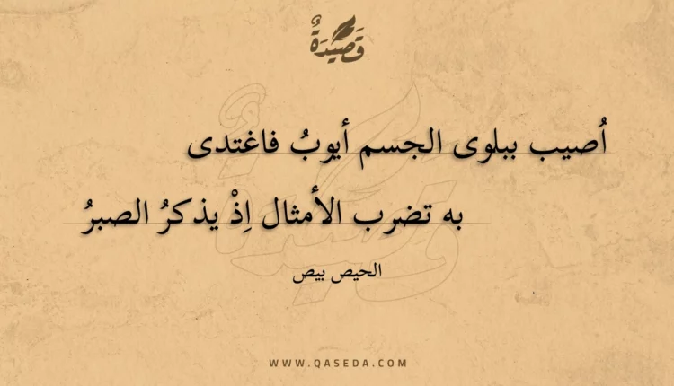 قصيدة اصيب ببلوى الجسم أيوب فاغتدى