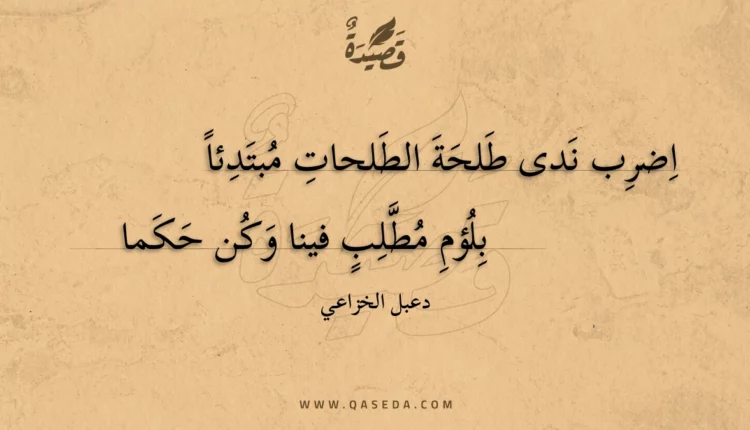 قصيدة اضرب ندى طلحة الطلحات مبتدئا