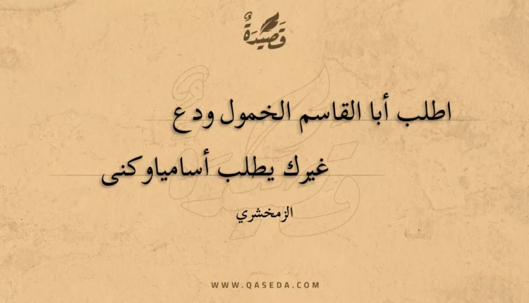 قصيدة اطلب أبا القاسم الخمول ودع