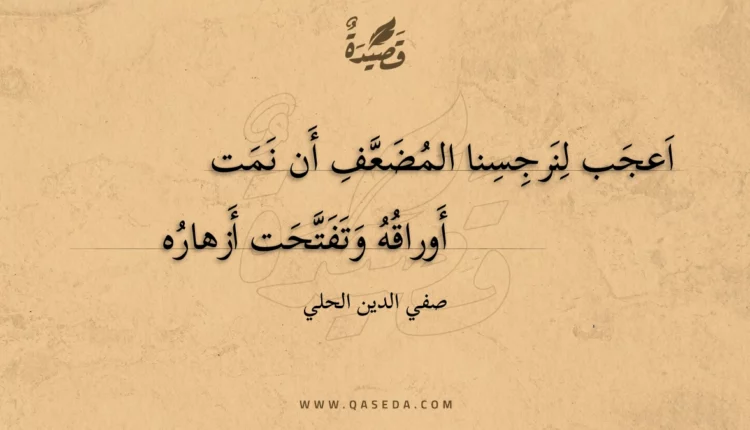 قصيدة اعجب لنرجسنا المضعف أن نمت