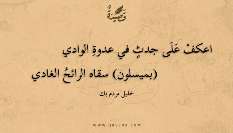 قصيدة اعكف على جدث في عدوة الوادي