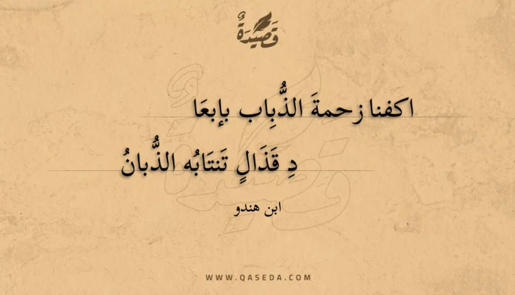 قصيدة اكفنا زحمة الذباب بإبعا